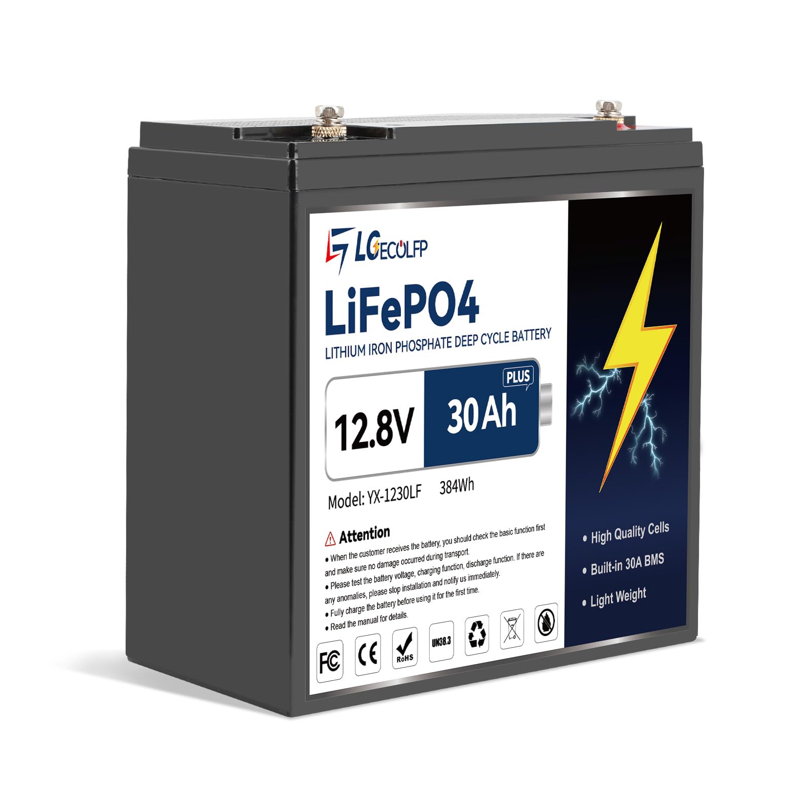 LiFePO4多目的バッテリー 12V 30Ah Amazon.com: 12V 30AH Plus Lifepo4 Lithium Battery With 30A BMS